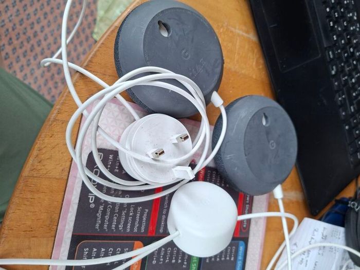 Google nest mini speakers