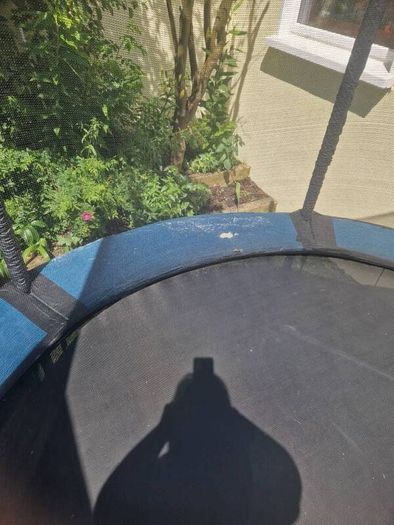 trampoline
