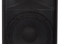 main image for ad Active PA Cabinet 10"