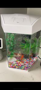 Fish tank
