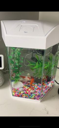 Fish tank