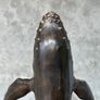 Whale (37cm) - Bronze Image 10