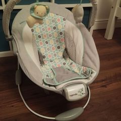 Baby Bouncer