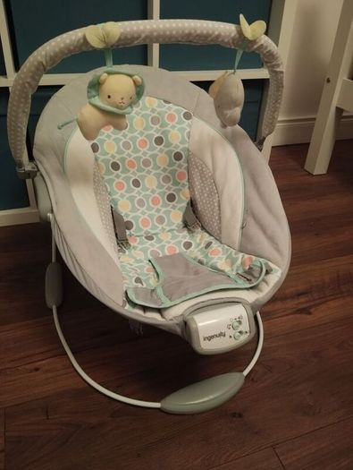 Baby Bouncer
