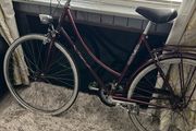 bikes