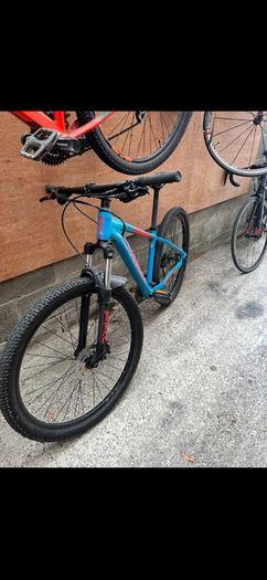 Orbea mx50 mountain bike