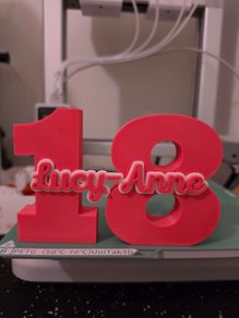 Personalized Age Number Sign with Name Birthday Decor