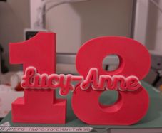 Personalized Age Number Sign with Name Birthday Decor