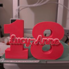 Personalized Age Number Sign with Name Birthday Decor