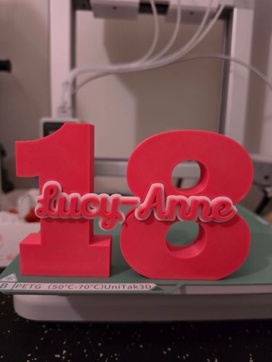 Personalized Age Number Sign with Name Birthday Decor