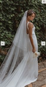 Wedding Dress and Veil