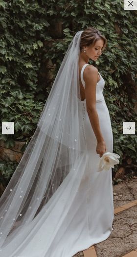 Wedding Dress and Veil