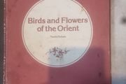Birds and Flowers of the Orient