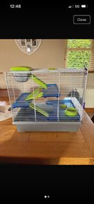 hamster cage