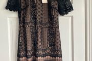 Oasis black lace short sleeved dress size 8