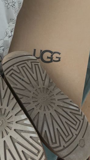tasman uggs