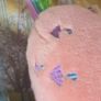 Closed Mouth Parasol Plushie Teddy Softies Large Vintage MLP G1 My Little Pony Image 10