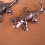 Crocodiles Image 5