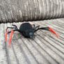Robo Alive Crawling Spider Image 2