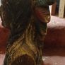 Red Indian Bust Image 4