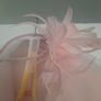 Wedding out Image 7