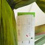 Artificial Plant Image 4
