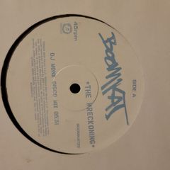 DJ Promo and Electronic 12 inch Lot