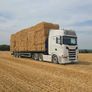Straw , barley & weaten Image 3