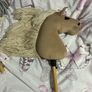 Hobby Horse selection LeMiuex Image 5