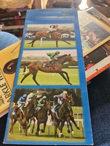 Mixed Lot of Horse Racing Programmes and Memorabilia