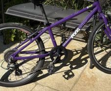 Girls Frog Bike