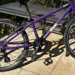 Girls Frog Bike
