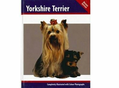 Yorkshire Terrier by Rachel Keyes