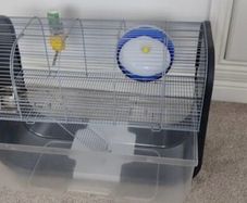 Hamster cage