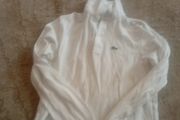 Lacoste Polo
