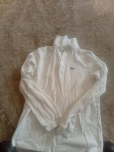 Lacoste Polo