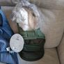 Two Tiny Dog Coats And A Harness Image 5