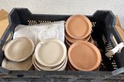 Terracotta Saucers
