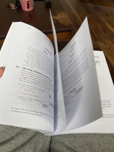 100 Go Mistakes and how to avoid them