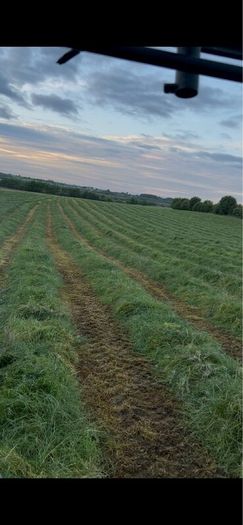 Silage haylage