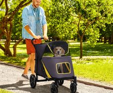 Foldable Pet Stroller, with Universal Wheels, Shock Absorber, for Medium and Large Dogs - Grey