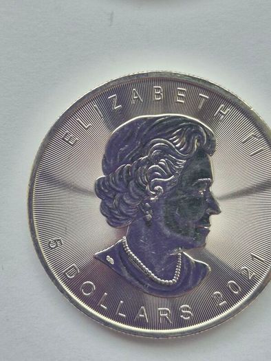 1 oz Canadian Maple Leaf Silver Bullion Coins