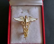 Caduceus brooch pin Medical Paramedic brooches, Caregiver, Doctor pin broach Medical Jewellery
