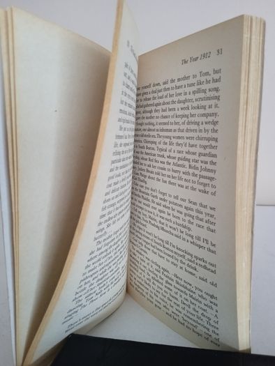The Road to Brightcity and Other Stories by Mairtin O Cadhain (RB452)