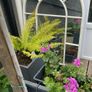 Arch Mirror with distressed metal frame - indoors or outdoors Image 4