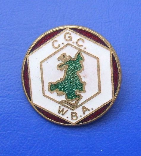 WELSH BEEKEEPER'S ASSOCIATION (CGC - WBA) - membership enamel badge (1970's / 1980's). A scarce badge.