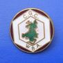 WELSH BEEKEEPER'S ASSOCIATION (CGC - WBA) - membership enamel badge (1970's / 1980's). A scarce badge. Image 2