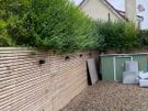 Garden maintenance Image 7