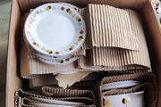 18 pcs Vintage Arklow Autumn Leaves Pattern Ceramic Gold Trim