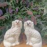 A Pair of Nineteenth Century Staffordshire Dogs(12") Image 3